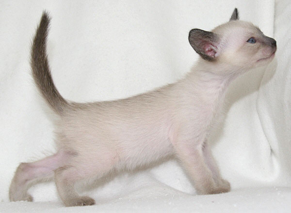 Photo: Carolin Skirl