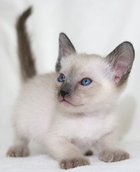 Photo: Carolin Skirl