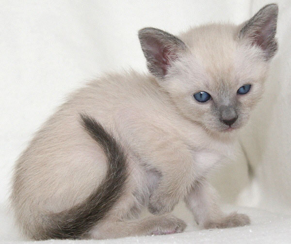 Photo: Carolin Skirl