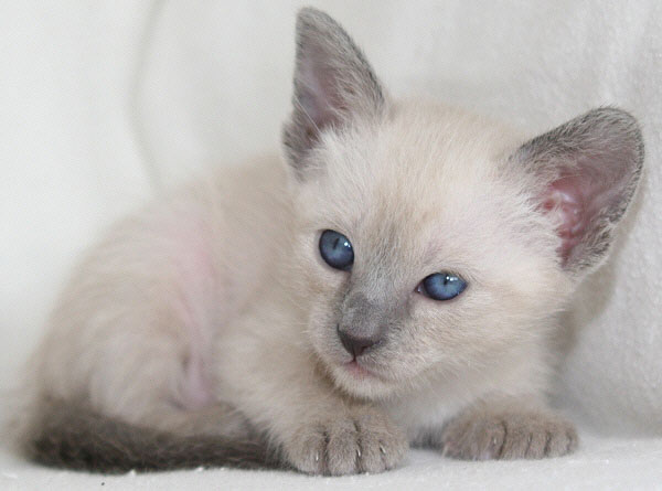 Photo: Carolin Skirl