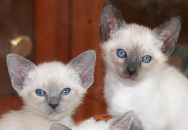 Photo: Carolin Skirl