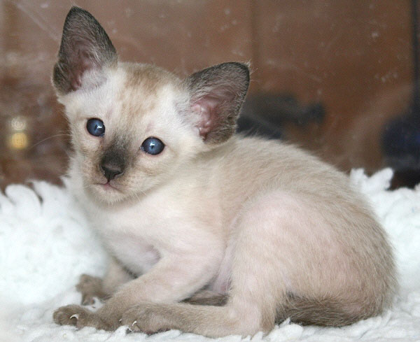 Photo: Carolin Skirl