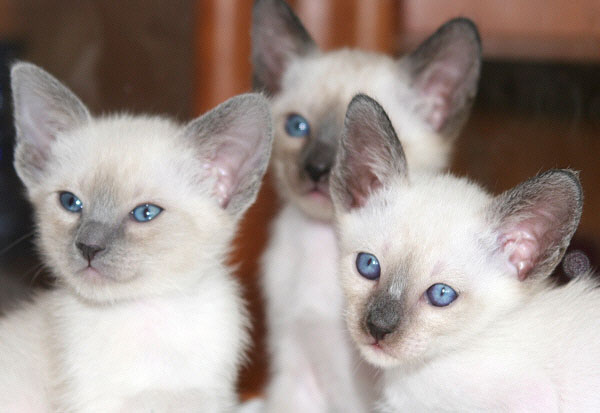 Photo: Carolin Skirl