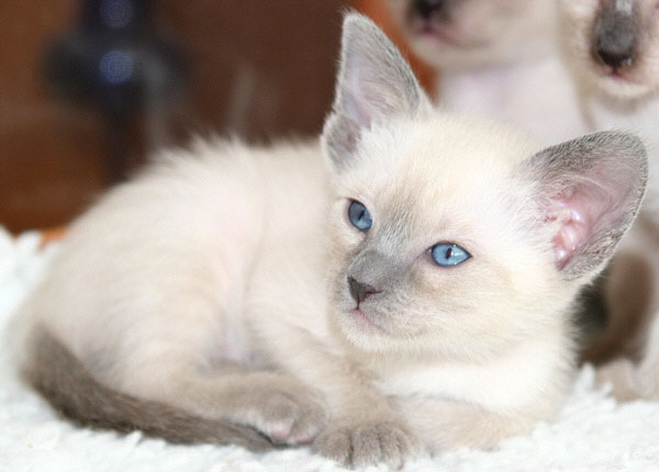 Photo: Carolin Skirl