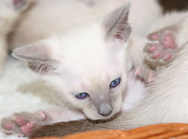 Photo: Carolin Skirl