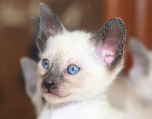 Photo: Carolin Skirl