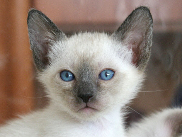 Photo: Carolin Skirl