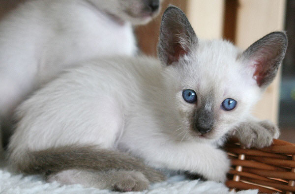 Photo: Carolin Skirl