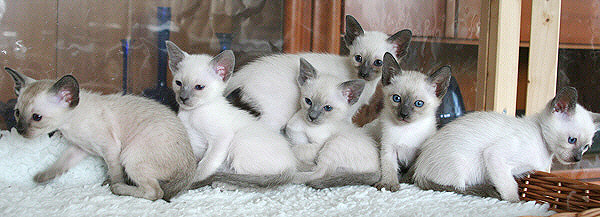 Photo: Carolin Skirl