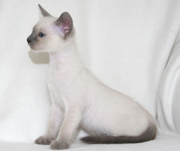 Photo: Carolin Skirl