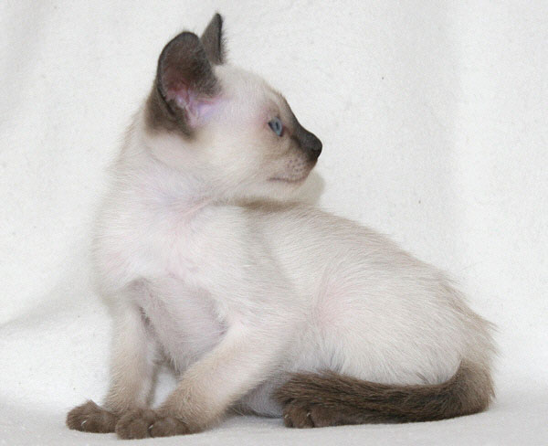 Photo: Carolin Skirl