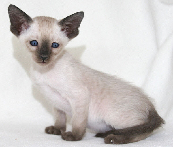 Photo: Carolin Skirl