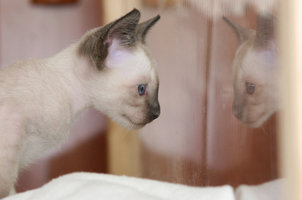 Photo: Carolin Skirl