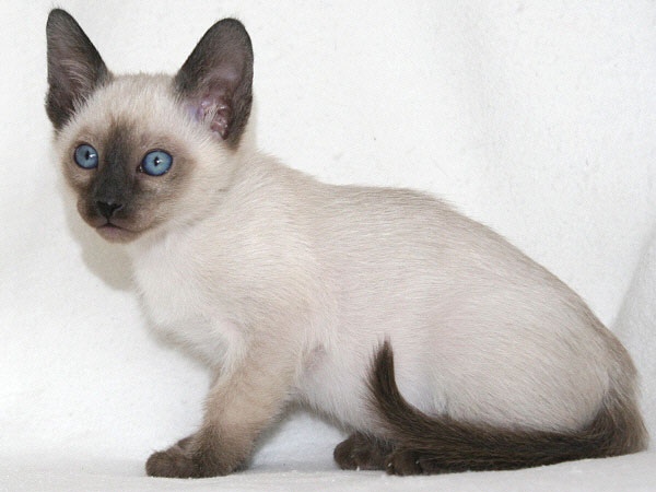 Photo: Carolin Skirl