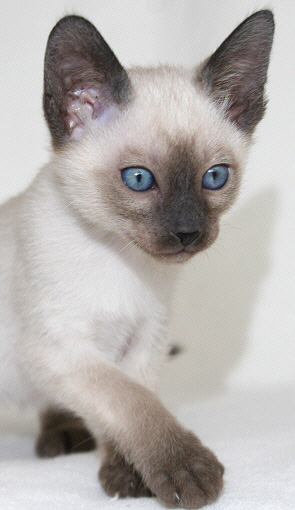 Photo: Carolin Skirl