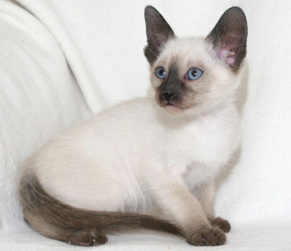 Photo: Carolin Skirl