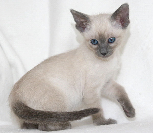 Photo: Carolin Skirl