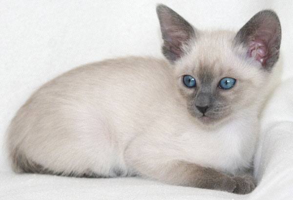 Photo: Carolin Skirl