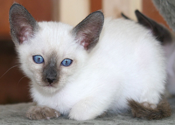 Photo: Carolin Skirl