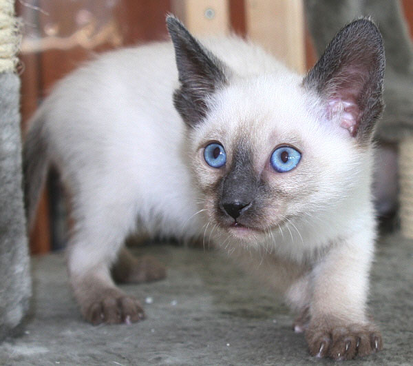 Photo: Carolin Skirl