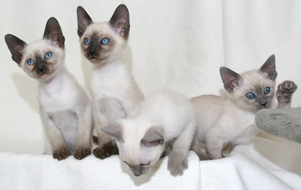 Photo: Carolin Skirl