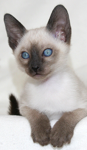 Photo: Carolin Skirl