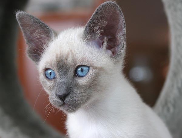 Photo: Carolin Skirl