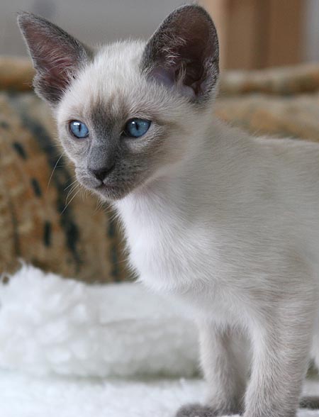 Photo: Carolin Skirl