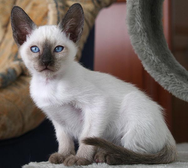 Photo: Carolin Skirl