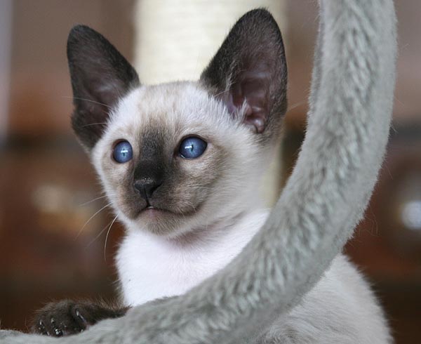 Photo: Carolin Skirl