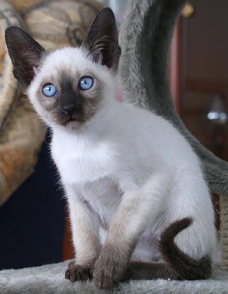 Photo: Carolin Skirl