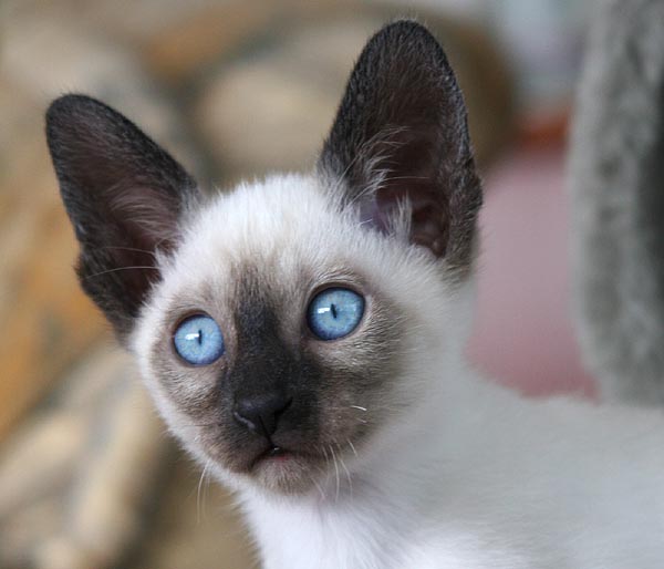 Photo: Carolin Skirl