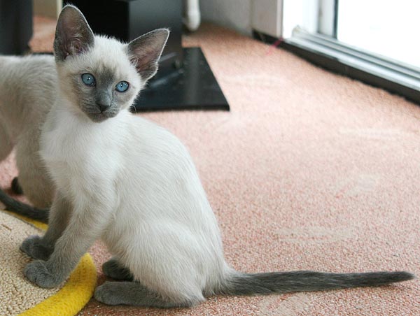 Photo: Carolin Skirl