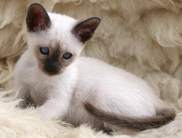 Photo: Carolin Skirl