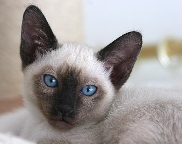 Photo: Carolin Skirl