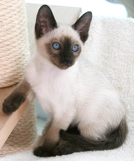 Photo: Carolin Skirl