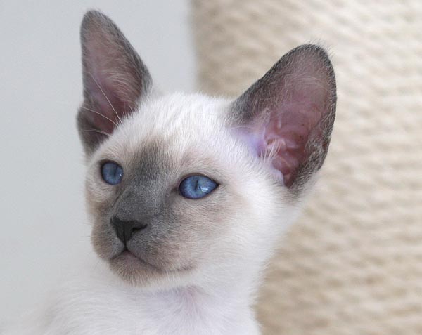 Photo: Carolin Skirl