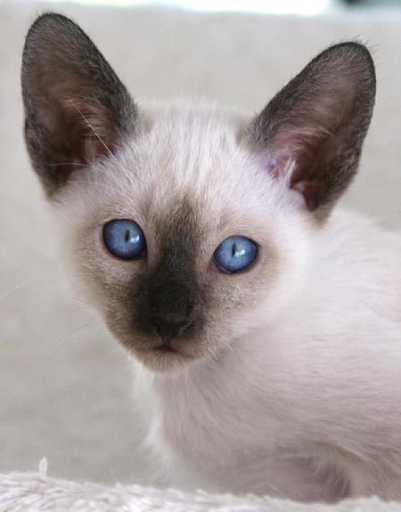 Photo: Carolin Skirl