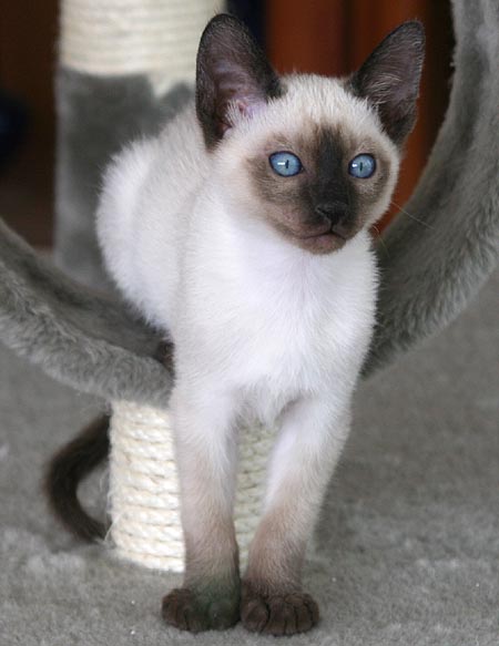 Photo: Carolin Skirl