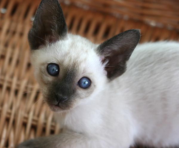 Photo: Carolin Skirl