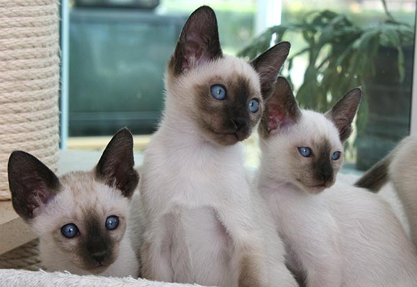 Photo: Carolin Skirl