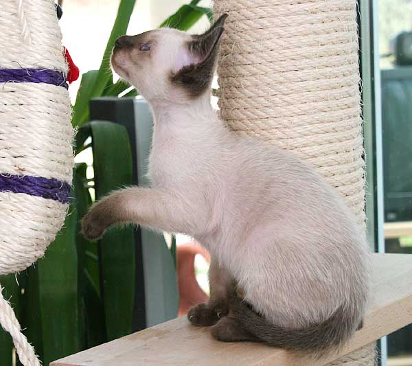 Photo: Carolin Skirl