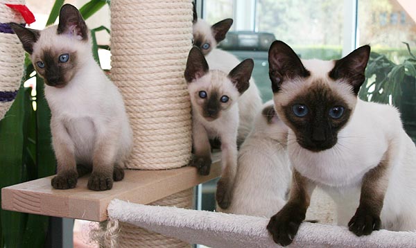 Photo: Carolin Skirl