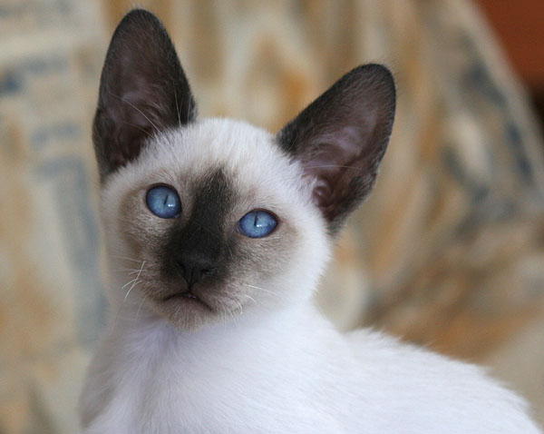 Photo: Carolin Skirl