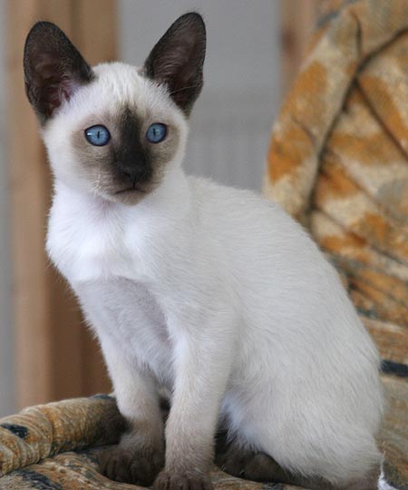 Photo: Carolin Skirl