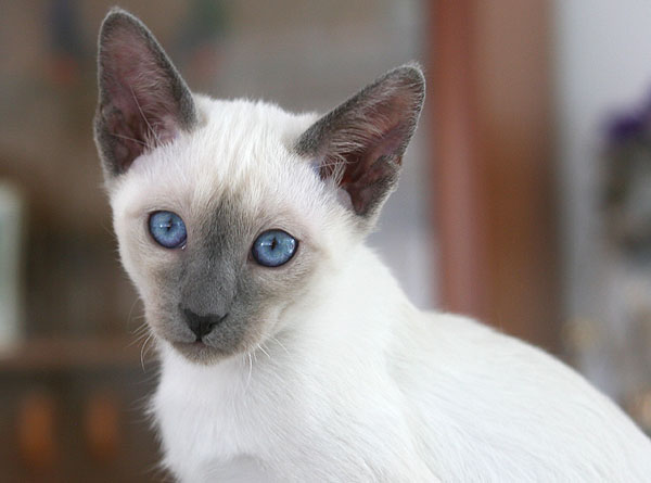 Photo: Carolin Skirl