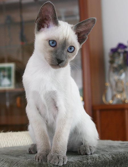 Photo: Carolin Skirl