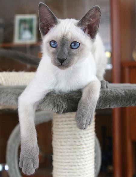 Photo: Carolin Skirl