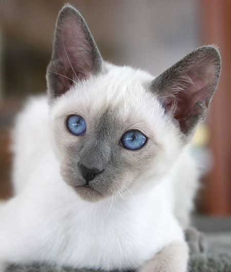 Photo: Carolin Skirl