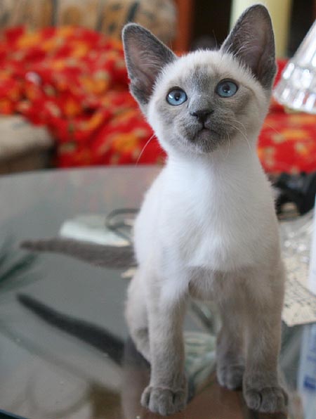 Photo: Carolin Skirl